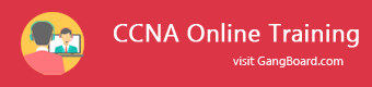 CCNA Online Training